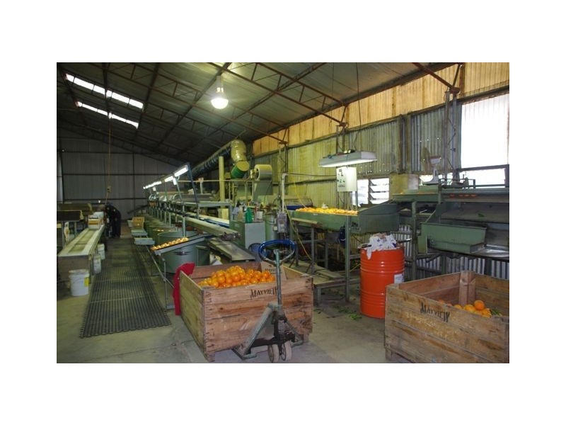 120 Torgannah Road, Koonoomoo VIC 3644