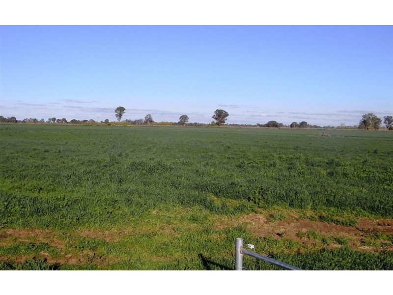 425 McCarther Road, Yarroweyah VIC 3644