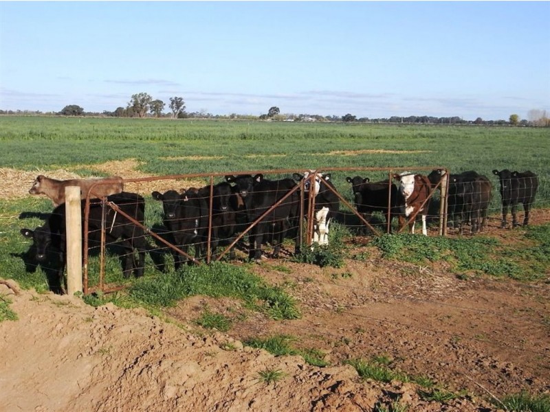 425 McCarther Road, Yarroweyah VIC 3644