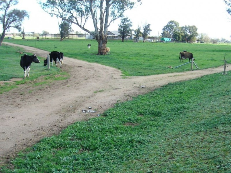 439 Singapore Rd, Yarroweyah VIC 3644