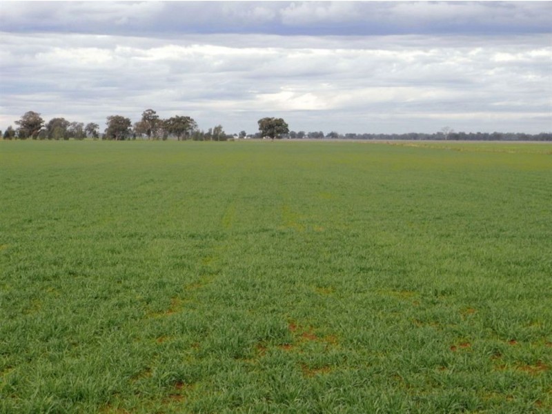 2727 Yarrawonga Road, Katamatite VIC 3649