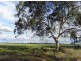 933 MV Highway Bearii, Bearii VIC 3641