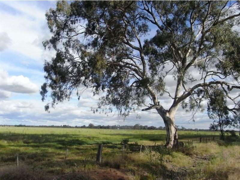 933 MV Highway Bearii, Bearii VIC 3641