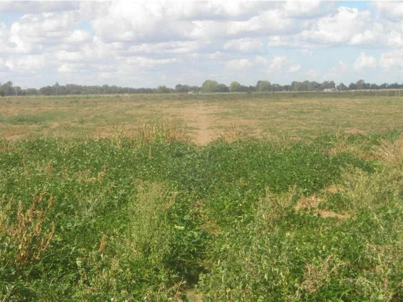 19 Kokoda Road, Yarroweyah VIC 3644