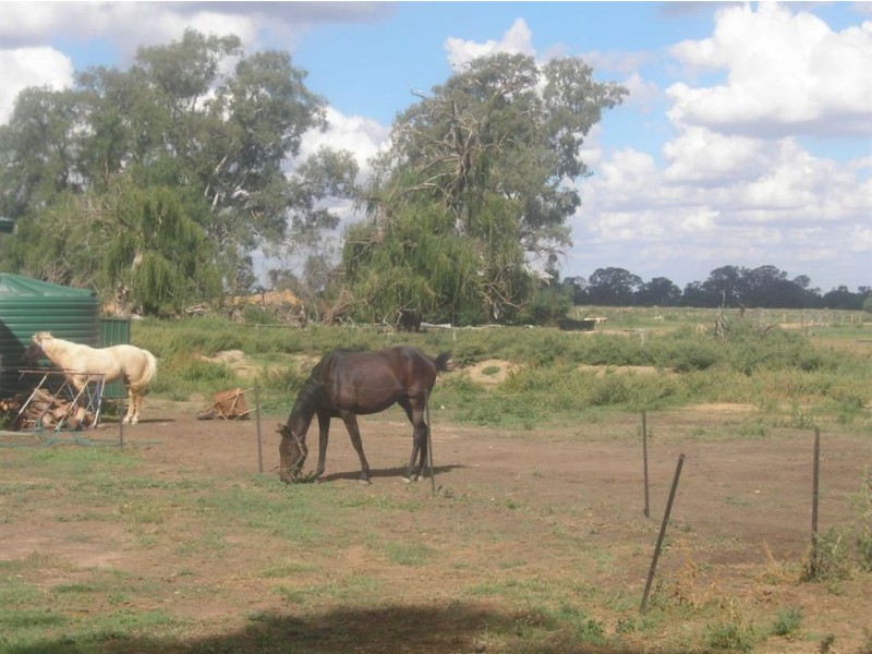 19 Kokoda Road, Yarroweyah VIC 3644