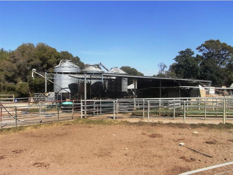 10 Horners Road, Nathalia VIC 3638