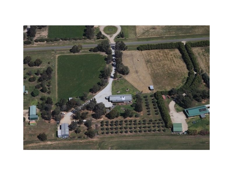 75 Honniball Drive, Tocumwal NSW 2714