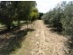 75 Honniball Drive, Tocumwal NSW 2714