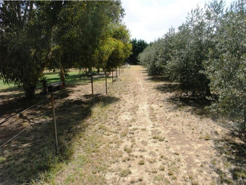 75 Honniball Drive, Tocumwal NSW 2714