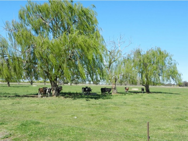 381 Churchill Road, Yarroweyah VIC 3644