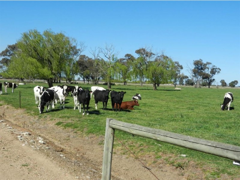 381 Churchill Road, Yarroweyah VIC 3644