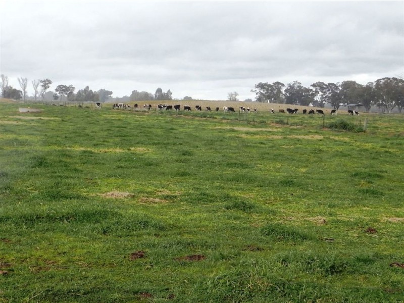 381 Churchill Road, Yarroweyah VIC 3644