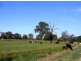 233 Montgomery Road, Yarroweyah VIC 3644