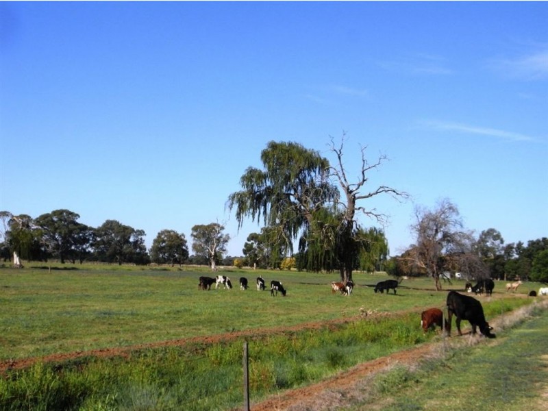 233 Montgomery Road, Yarroweyah VIC 3644