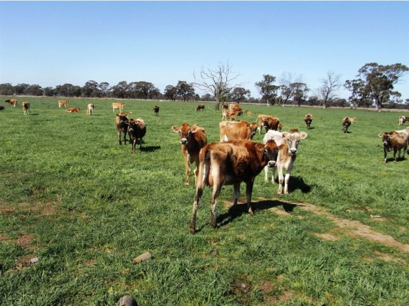 300 Tom O’Brien Road, Koonoomoo VIC 3644