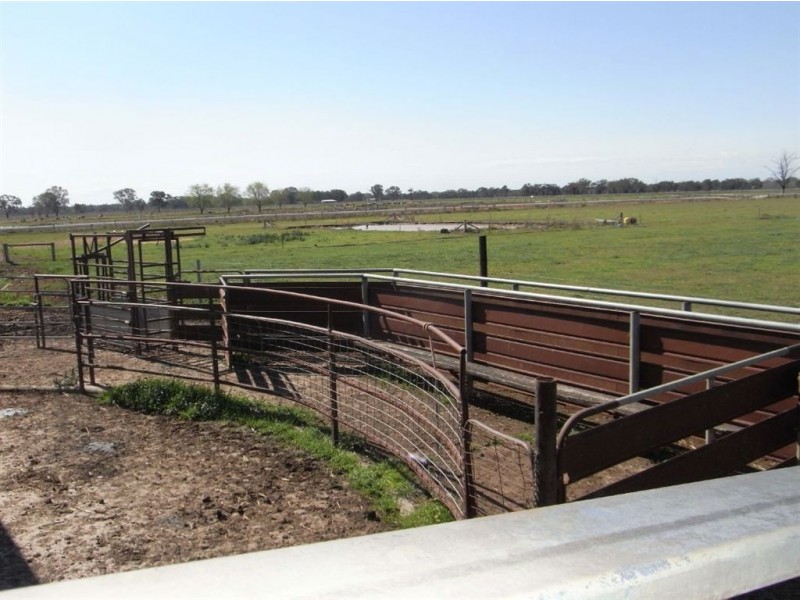 300 Tom O’Brien Road, Koonoomoo VIC 3644