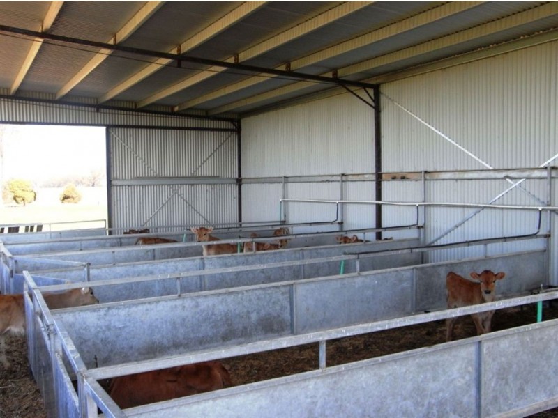 300 Tom O’Brien Road, Koonoomoo VIC 3644