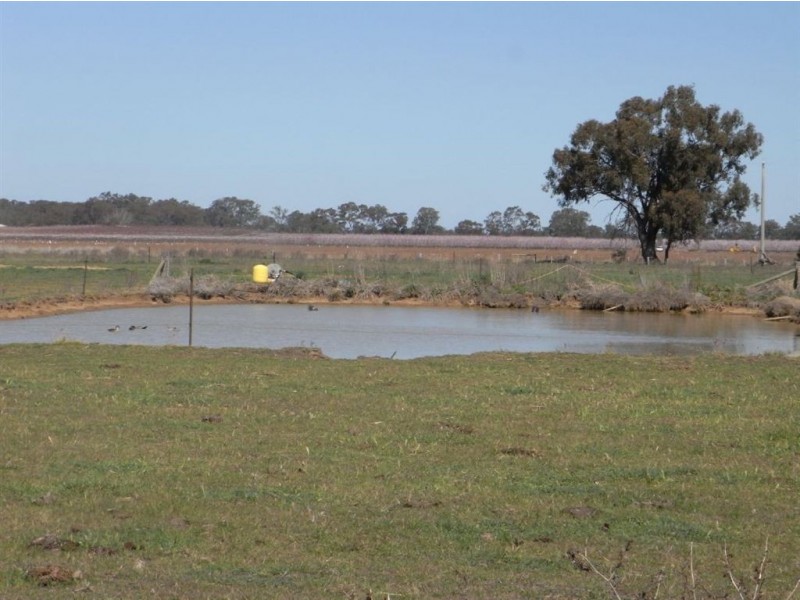 300 Tom O’Brien Road, Koonoomoo VIC 3644