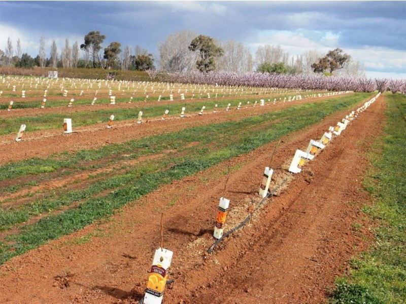 484 Cobram South Road, Cobram VIC 3644