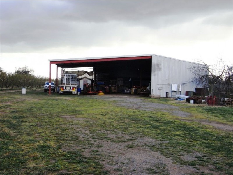 484 Cobram South Road, Cobram VIC 3644