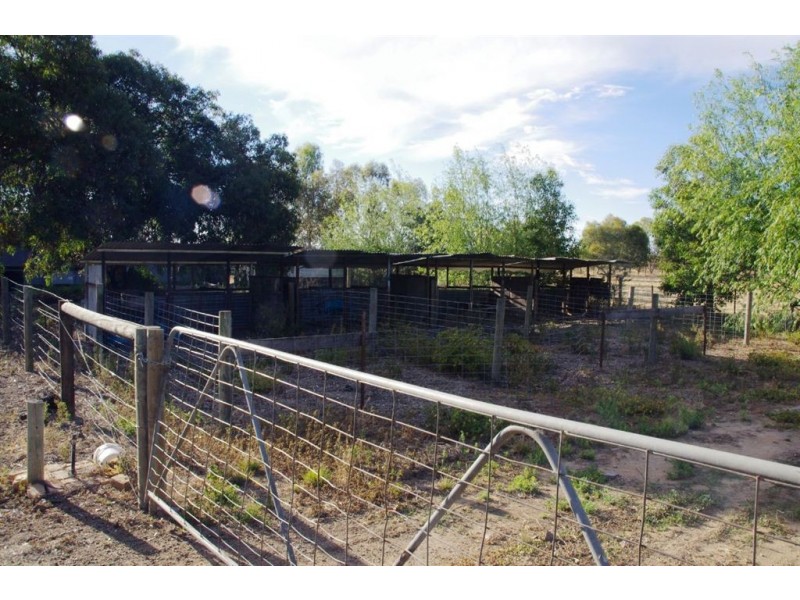 229 Lonergan Road, Cobram VIC 3644