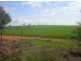 1 Kennedys Road, Barooga NSW 3644