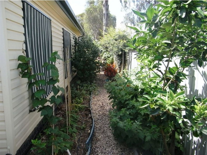 1 Lakeside Drive Oasis Village, Cobram VIC 3644