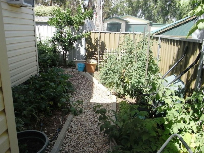 1 Lakeside Drive Oasis Village, Cobram VIC 3644