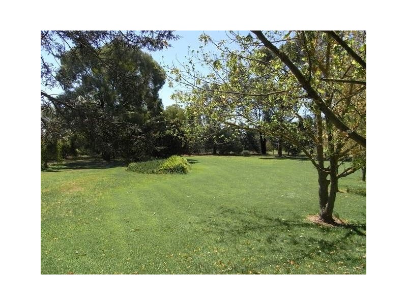 19 Catona Crescent, Cobram VIC 3644