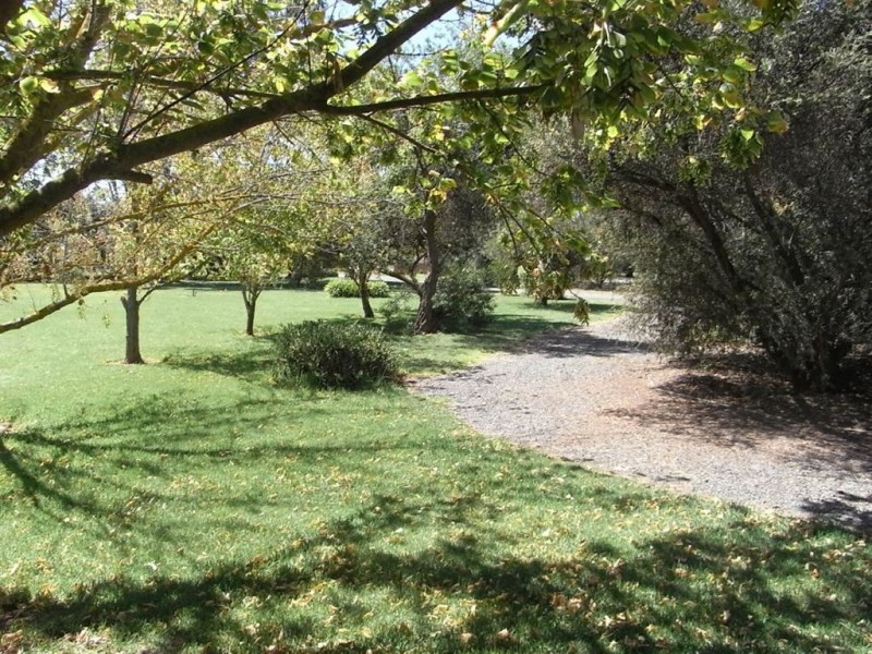 19 Catona Crescent, Cobram VIC 3644