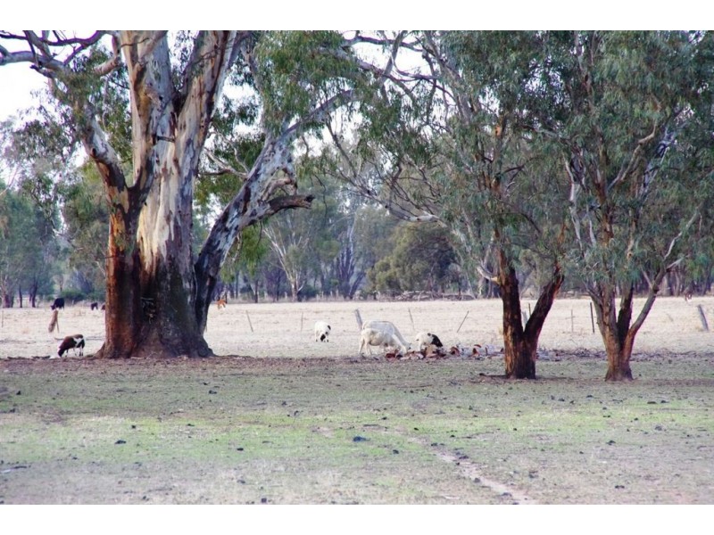 90 Greens Lane, Koonoomoo VIC 3644