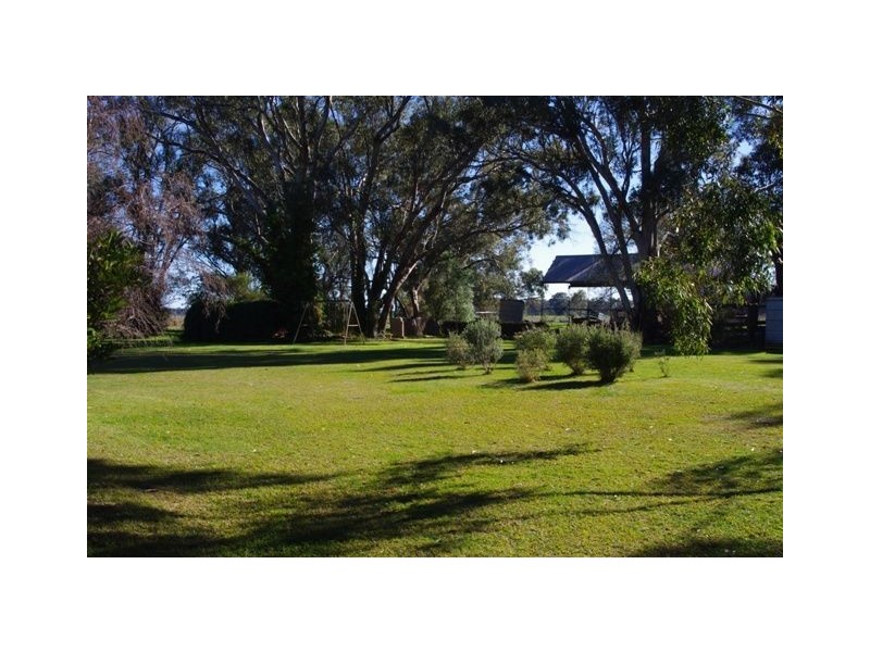 3836 Murray Valley Highway, Cobram VIC 3644