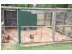 199 Hughes Street, Barooga NSW 3644