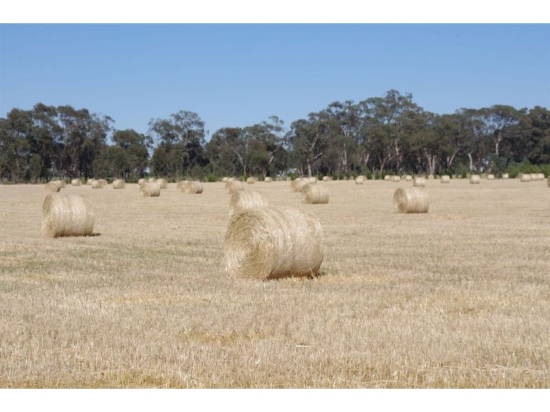 68 Cobrawonga Road, Cobram East VIC 3644