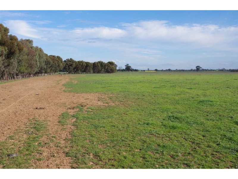 4066 Back Barooga Road, Barooga NSW 3644