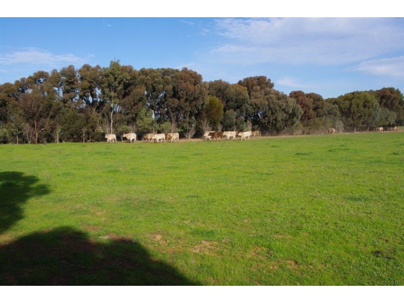 4066 Back Barooga Road, Barooga NSW 3644