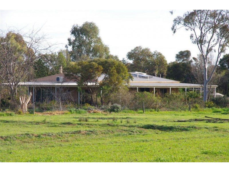 4066 Back Barooga Road, Barooga NSW 3644