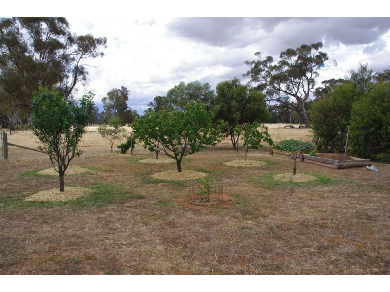 17 Mywee Bearii Road, Bearii VIC 3641