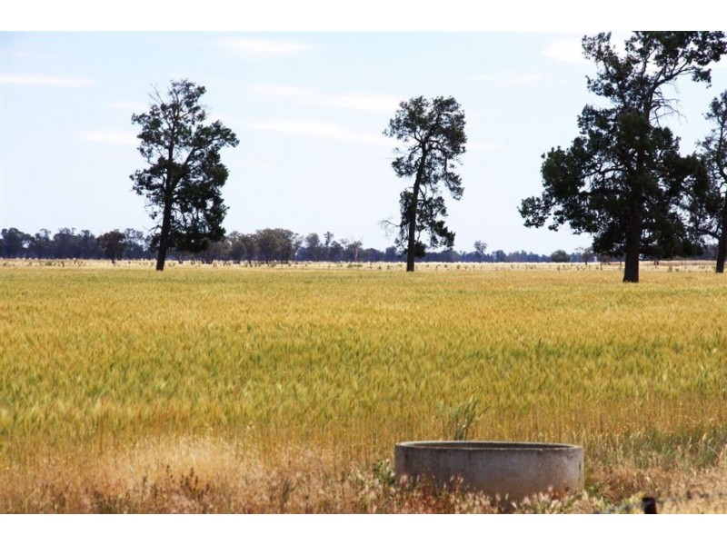 1757 Berrigan Road, Berrigan NSW 2712