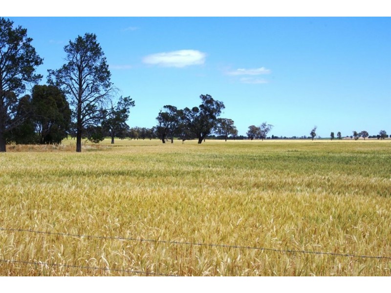 1757 Berrigan Road, Berrigan NSW 2712