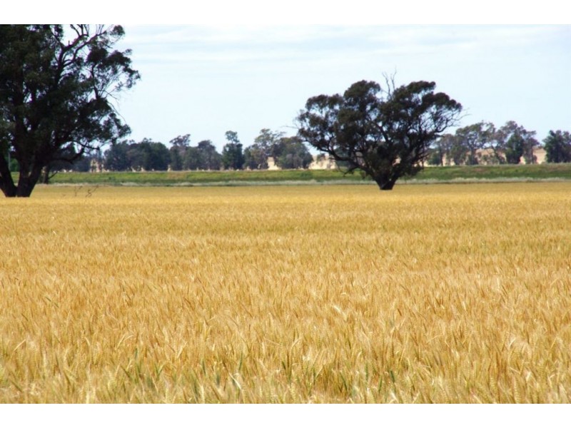 1757 Berrigan Road, Berrigan NSW 2712