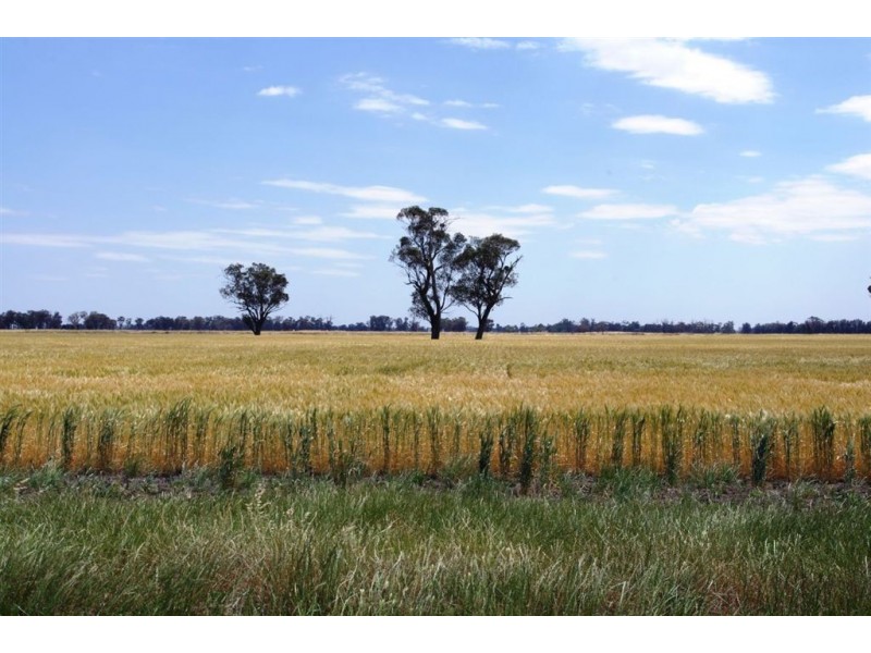 1757 Berrigan Road, Berrigan NSW 2712