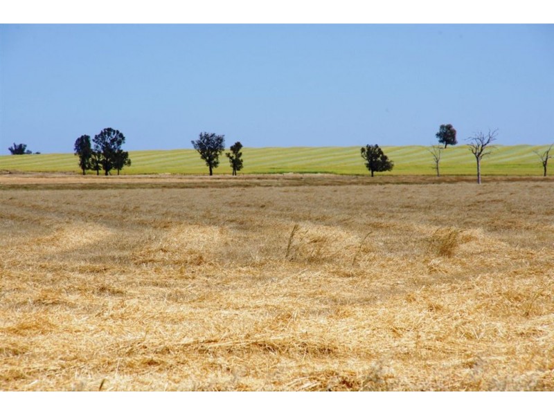 1757 Berrigan Road, Berrigan NSW 2712