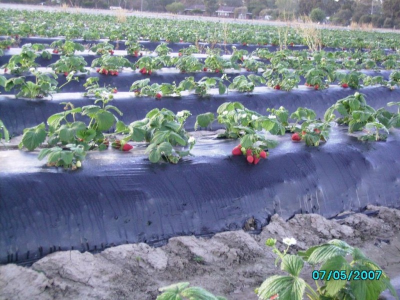 Lot/7 Kangan Road, Koonoomoo VIC 3644