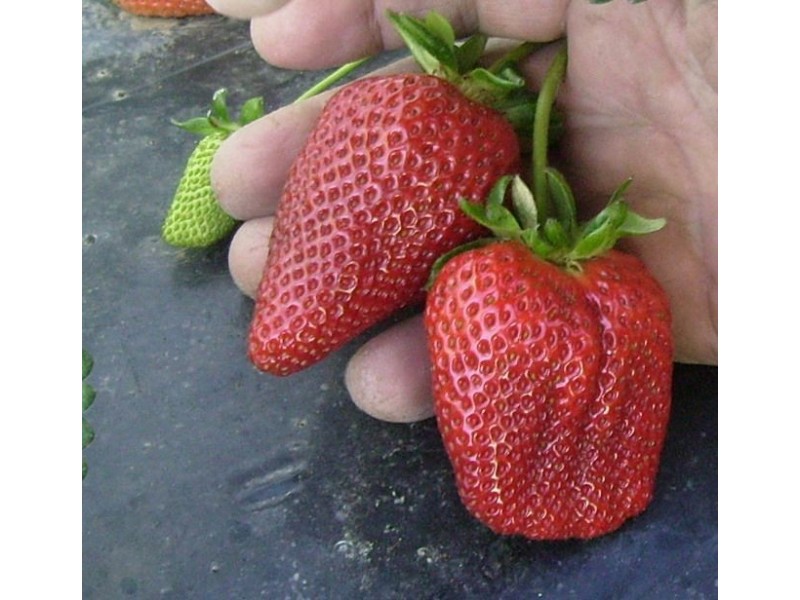 Lot/7 Kangan Road, Koonoomoo VIC 3644