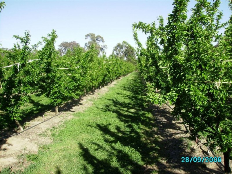 Lot/7 Kangan Road, Koonoomoo VIC 3644