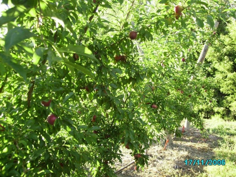 Lot/7 Kangan Road, Koonoomoo VIC 3644