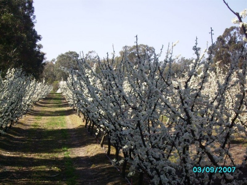 Lot/7 Kangan Road, Koonoomoo VIC 3644