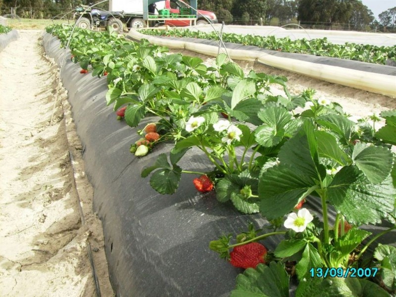 Lot/7 Kangan Road, Koonoomoo VIC 3644