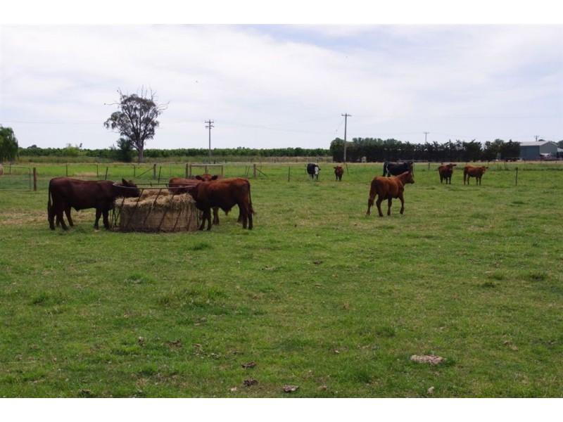 409 Pullar Road, Cobram VIC 3644